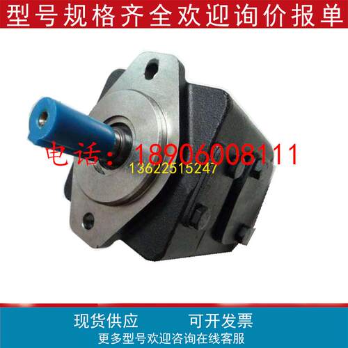 丹尼逊油泵高压力高性能液压泵T6DC-038-003-1R00-C100建筑机械泵