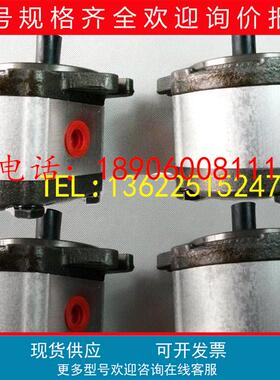 2GG1P26R,台湾HONOR齿轮泵2GG1P28R高压2GG1P30R鞋机2GG1P33R