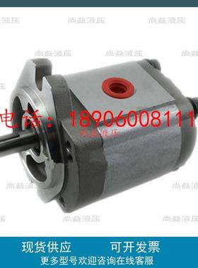 台湾KOMPASS康百世齿轮泵P216RP P219RP P222R P225RP P233RP01DT