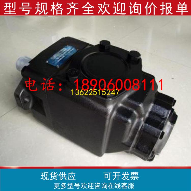 派克双联泵T6EC-042-031-1R00-C100水平钻井和公共设施钻孔叶片泵