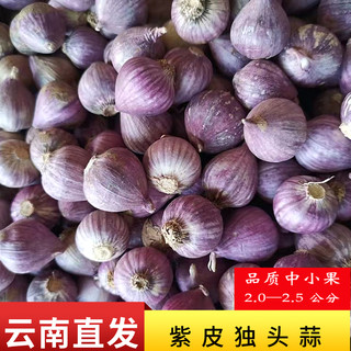 今年新蒜云南紫皮独头蒜独蒜干蒜大蒜头农家自种糖蒜多规格包邮