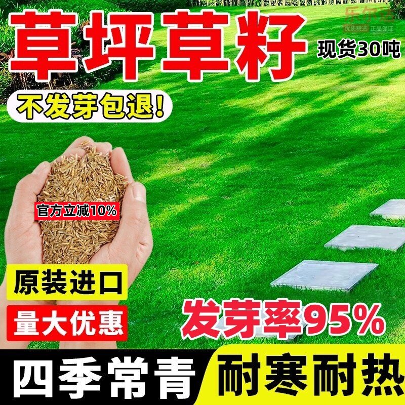 草坪草籽种子四季常青绿化地毯草黑麦草高羊茅护坡草皮种子草种籽