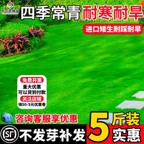 草坪草籽护坡绿化包开票