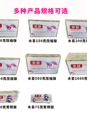 国产水苔贵州水苔一级水苔蝴蝶兰专用水苔干水苔多肉种植盆景铺面