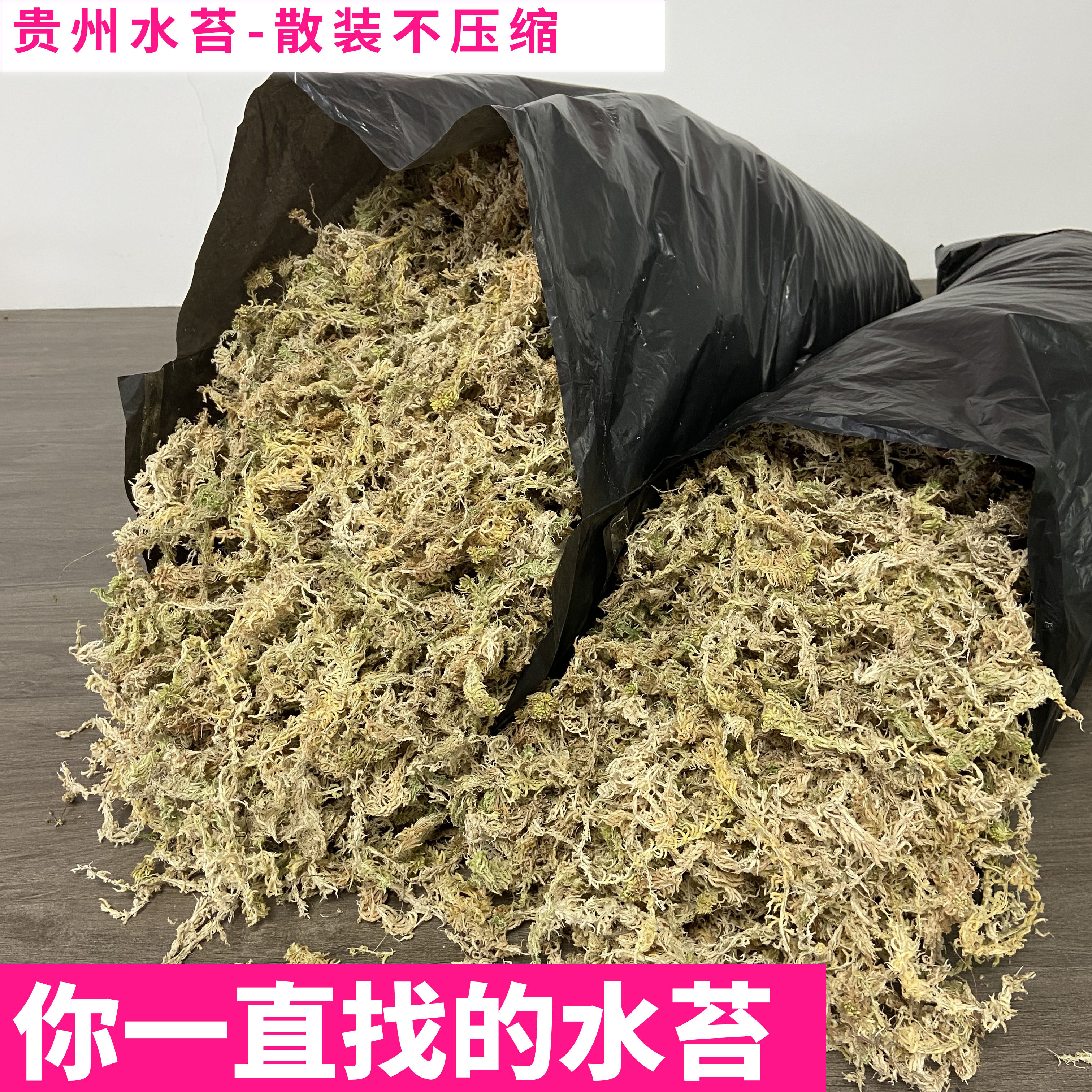 蝴蝶兰专用水苔贵州水苔寄居蟹窝乌龟窝蕨类种植透气保湿精品水苔