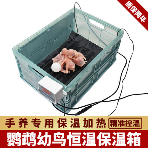 鹦鹉雏鸟保温箱牡丹宠物