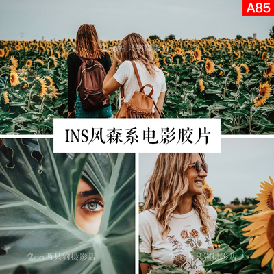 lightroom手机LR预设电脑PS滤镜app森系胶片ins人像视频pr调色lut