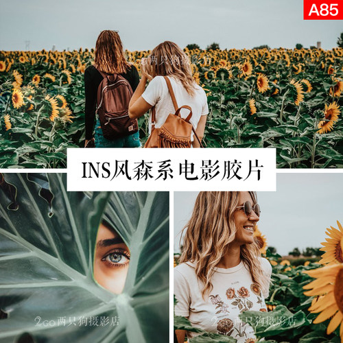 lightroom手机LR预设电脑PS滤镜app森系胶片ins人像视频pr调色lut