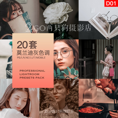 20套莫兰迪灰色调lightroom预设ps版滤镜手机lr预设人像ins风景