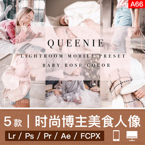 lightroom手机LR预设pr视频lut时尚博主美食人像ins调色ps滤镜app