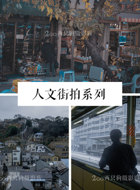 lightroom手机版LR预设pr视频lut人文街拍人像ins调色ps滤镜app