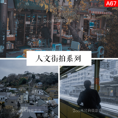 lightroom手机版LR预设pr视频lut人文街拍人像ins调色ps滤镜app