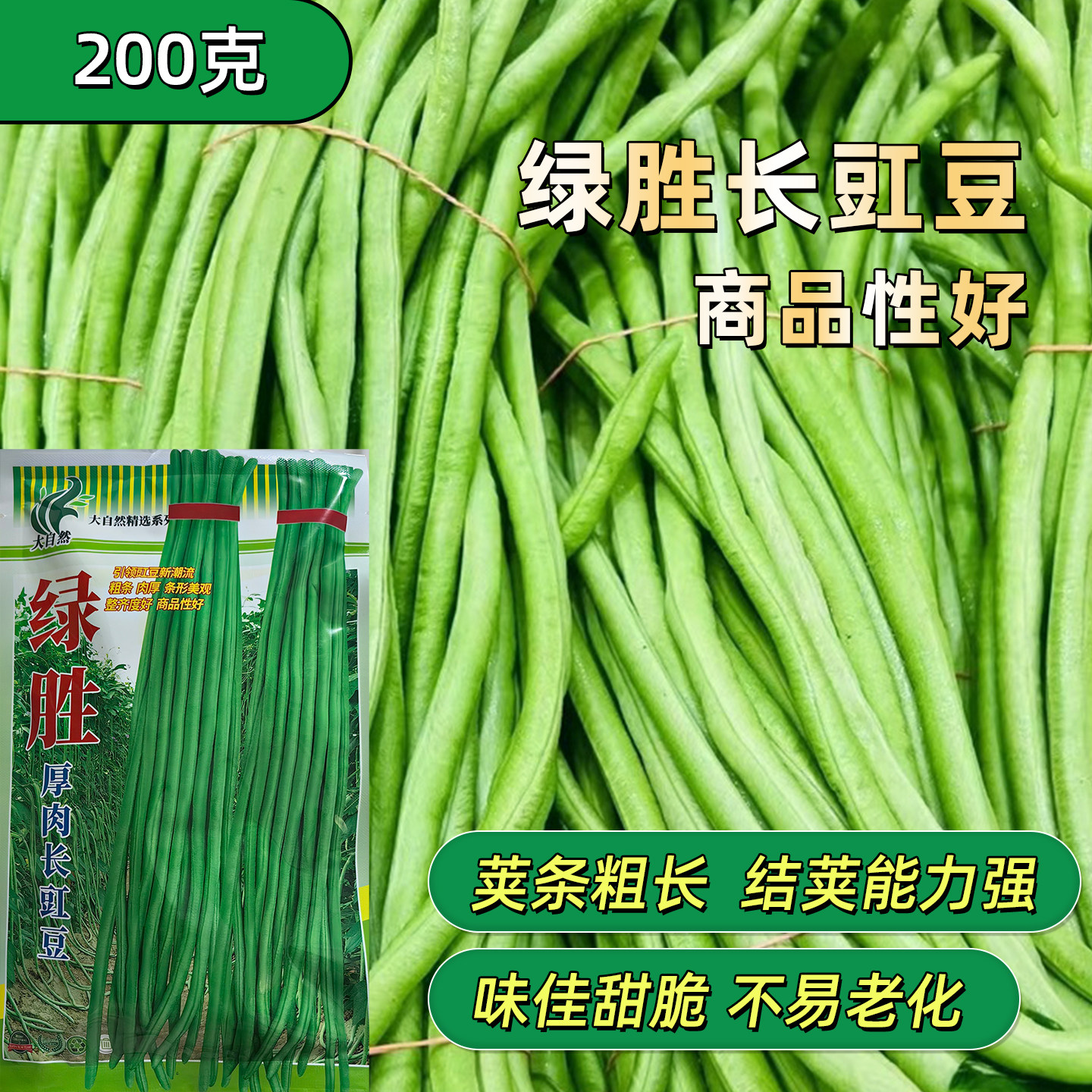 绿胜长豇豆种耔蔬菜种子长四季豆厚肉长豆角抗高温春秋季豆角种子