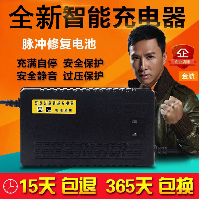 电动车电瓶充电器12V32A24V60A36V50A48V20A老人轮椅代步车乐吧车