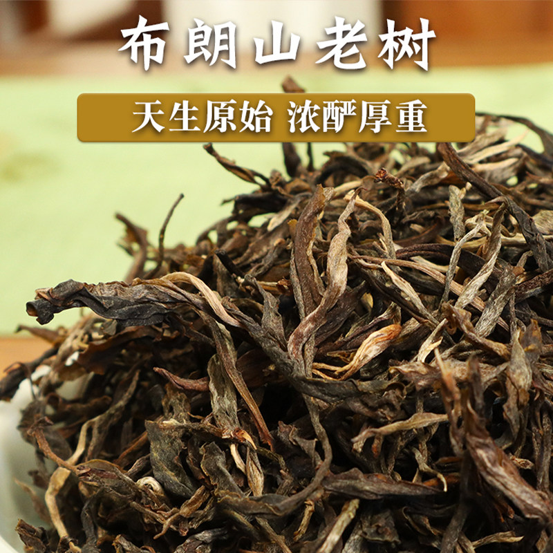 玉灯老人普洱生茶勐海布朗