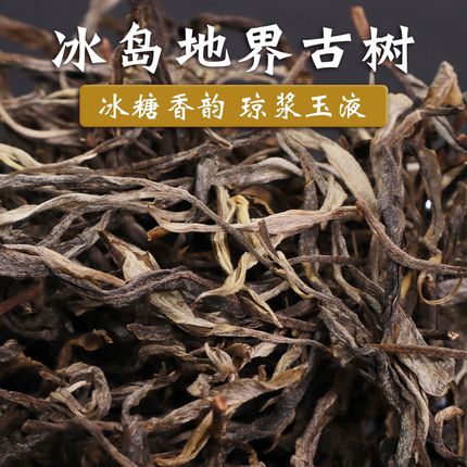 春茶现货2024年冰岛地界普洱茶生茶临沧勐库古树散茶100g果蜜芬香