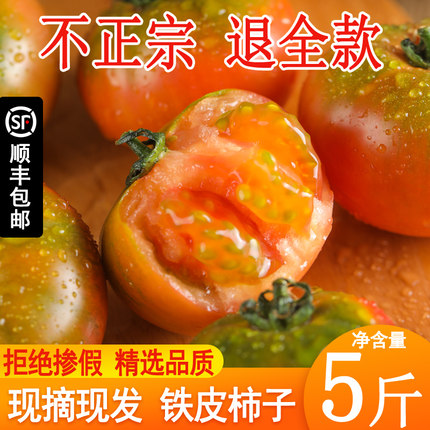 西红柿新鲜丹东草莓柿子5斤铁皮柿子自然熟盘锦碱地生吃水果 番茄