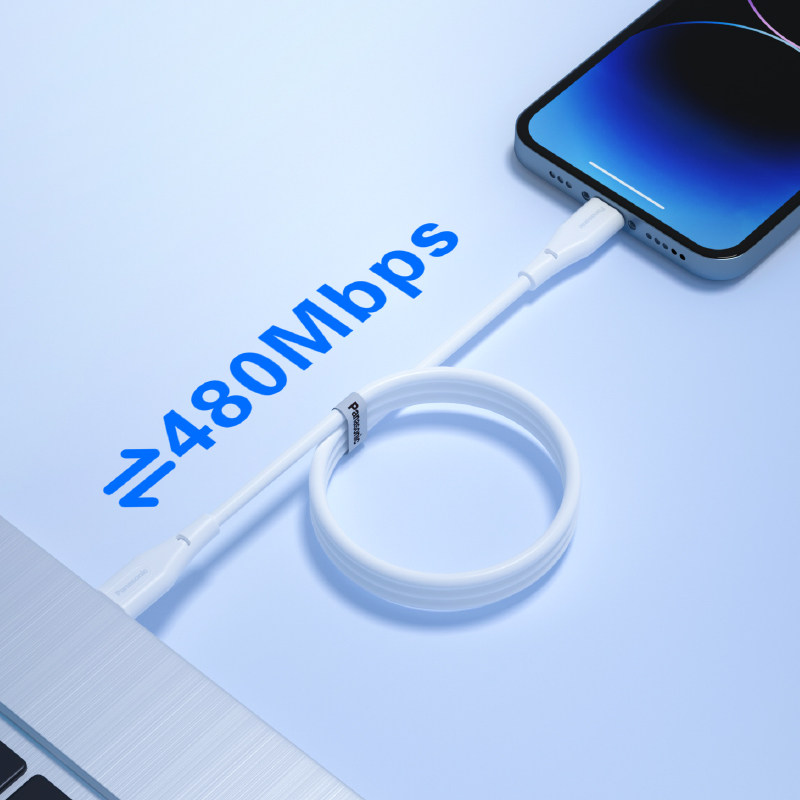 松下（panasonic）适用于苹果15数据线双TypeciPhone15充电线iPadPro/Mac PD100W快充
