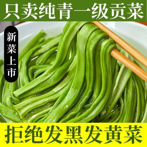 贡菜苔干菜无叶一级新鲜苔菜苔干