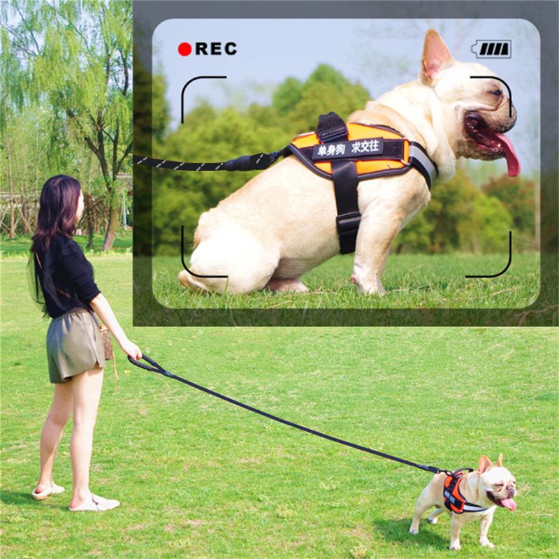 背带法牛柯基小型柴犬狗狗牵引绳