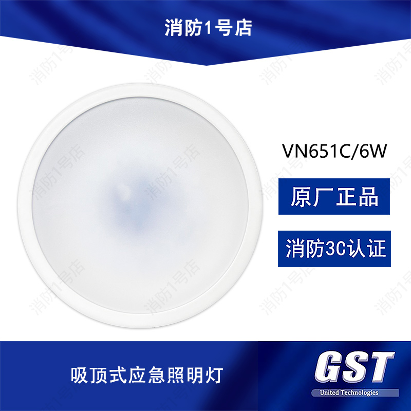 海湾集电集控型消防应急照明灯具VN650C VN651C吸顶式应急照明灯 家装灯饰光源 应急灯 原图主图