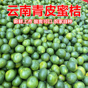 孕妇水果特早熟云南青皮蜜橘桔子当季酸水果产地果园直发绿色皮