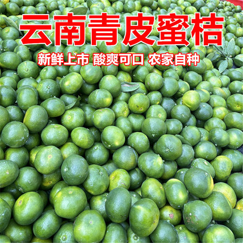 云南当季特早熟青皮蜜桔