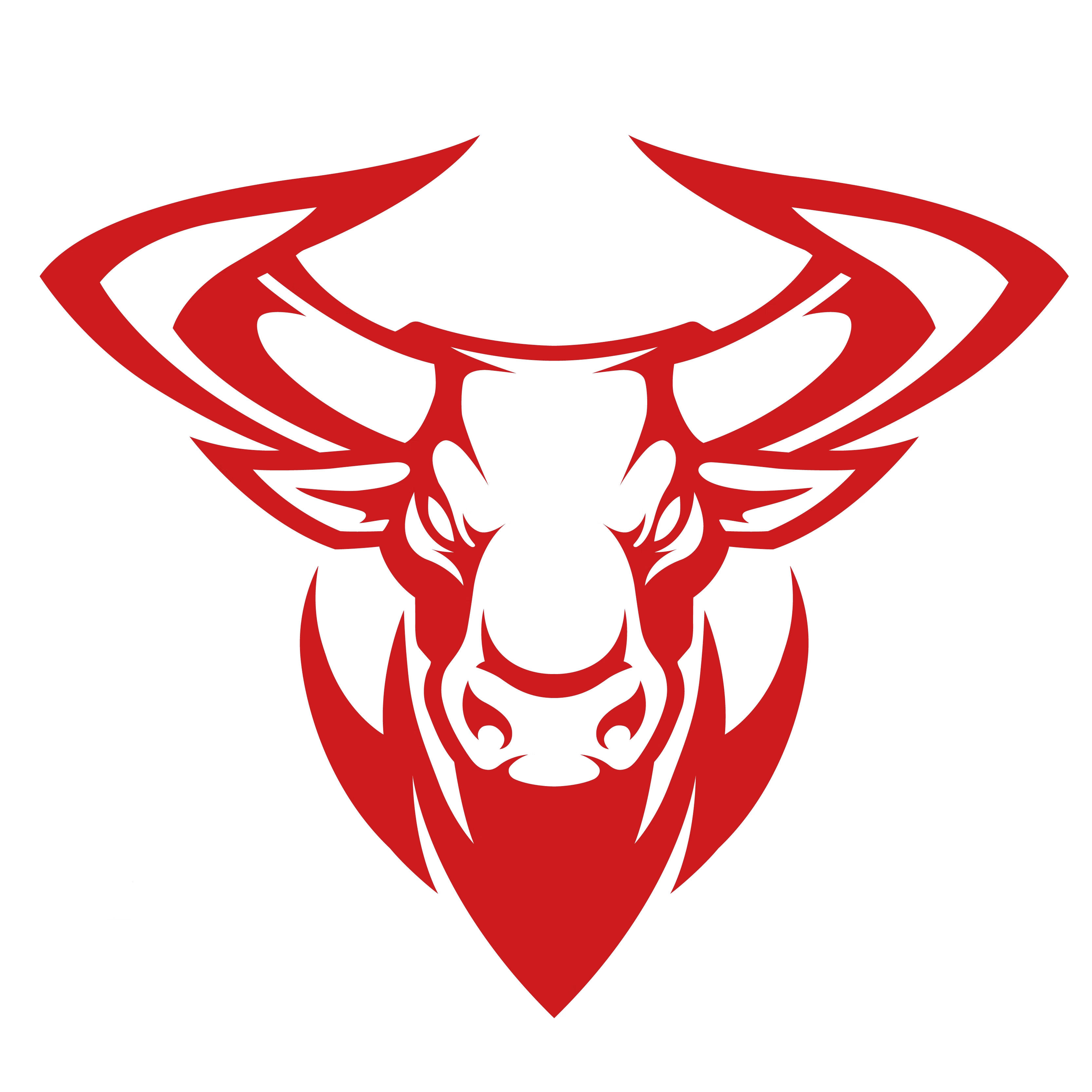 红色公牛头车贴 车门车身霸气红牛头改装拉花贴 汽车油箱盖装饰贴