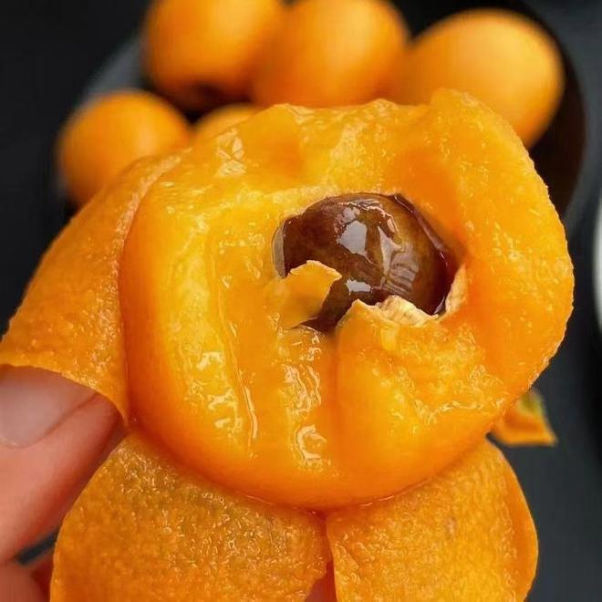 新鲜水果云南冰糖枇杷当季春节礼盒