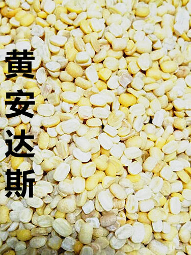黄扁豆 黄色马粟豆 安达斯 散装 500g - 封面