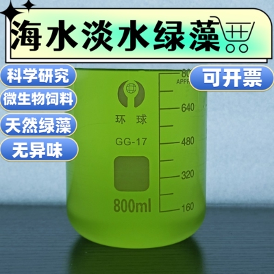 绿藻水小球藻四链藻培育水蚤轮虫
