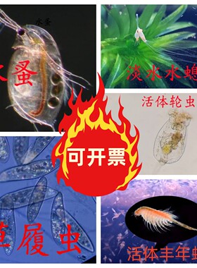 草履虫水螅水蚤涡虫学校生物实验