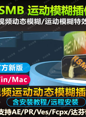 AE/PR插件 RSMB视频运动动态模糊 可控制模糊效果支持win/MAC素材