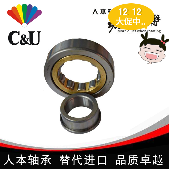 人本圆柱滚子轴承N/NJ/NU/NUP/RN209 210 211 212 213 214EM