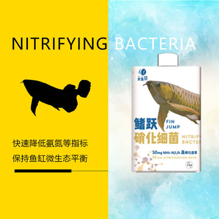 大鱼鳍跃硝化细菌净水龙鱼虎鱼养鱼养水水体清澈去除氨氮亚硝酸盐