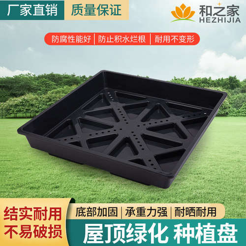 屋顶绿化带蓄水功能佛甲草种植盘
