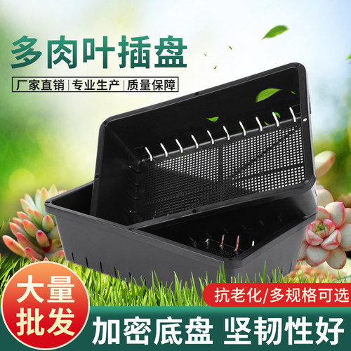 透气加密日式小型育苗盘塑料花盆