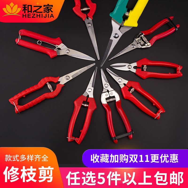 采果剪摘果不锈钢翘头剪刀稀果剪 修枝剪番茄剪园艺剪刀园艺工具,鲜花速递/花卉仿真/绿植园艺,剪刀,淘宝优惠券,粉丝福利购,淘宝优惠卷