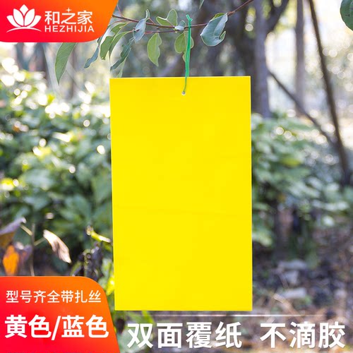 长效防水进口胶环保粘虫板诱虫板