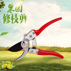 优质修花修枝剪刀园林工具果树剪子花剪修剪树枝园艺粗枝剪树剪