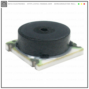 SMT NBPLPNN001PGUNV LEADLESS MODEL BASIC