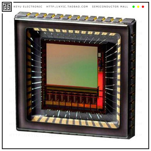 IMAGE QDC 1.3MP 48LLC SENSOR NOIV1SE1300A