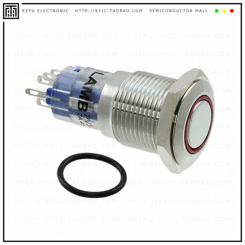 PV3WF2H0SS-315【SWITCH PUSHBUTTON DPDT 2A 48V】