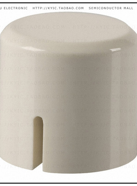 PV WH【CAP KEYSWITCH WHITE】