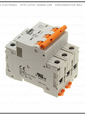 1019971【CIRCUIT BRAKER 63A】