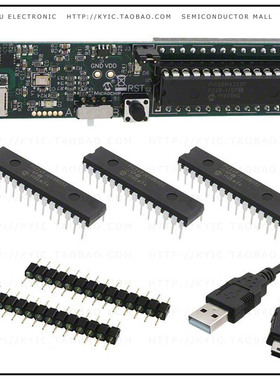 DM330013-2【MICROSTICK II DSPIC33/24FJ/H/32】