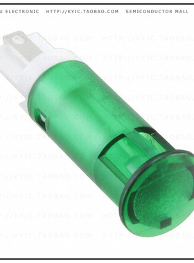 QS101XXG12【INDICATOR 10MM FIXED GR 12V SLDR】