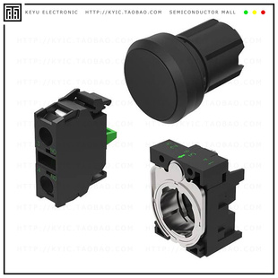 PUSH SWITCH 10A 500V 1131.1110.000.101 SPST