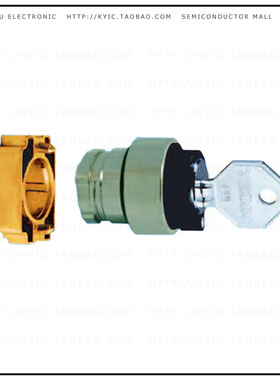 2AK2-02【CONFIG SW BODY KEYLOCK NON-ILLUM】