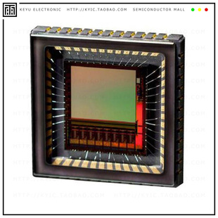 IMAGE QDC 1.3MP 48LLC SENSOR NOIV2SE1300A